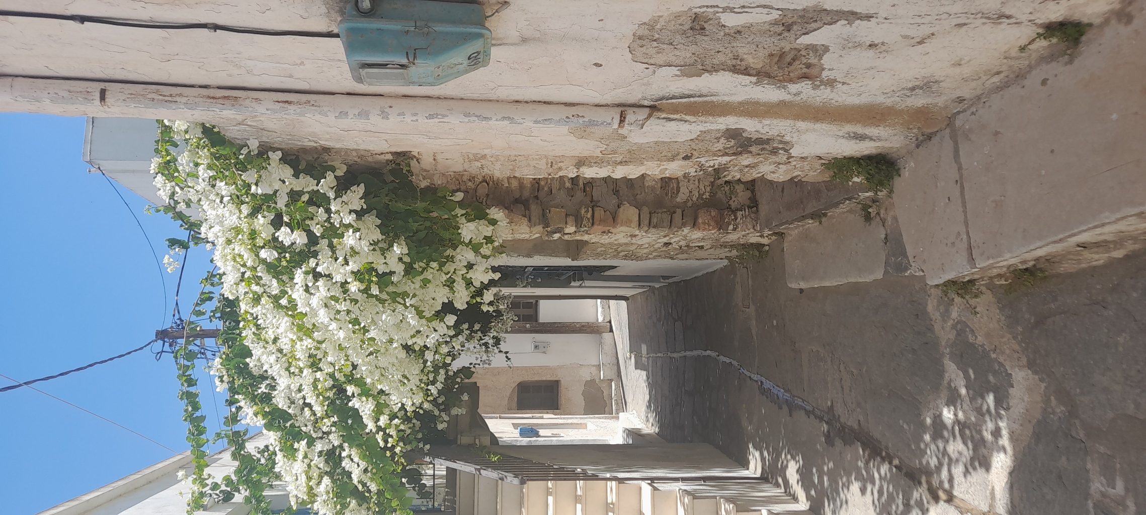 a narrow laneway in melanes, naxos. there are white flowers in bloom covering the path. with a set of marble topped stairs leading up to the left and some exposed stone on the right. a narrow channel is cut into the floor to track any water down through the villiage. the sky is a clear blue in the top of the image. some of the stone is exposed in the wall with the white render in disrepair
